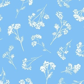 Wildflowers in White on Sky Blue