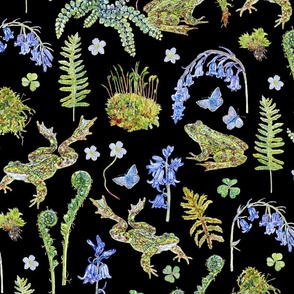 Frolicking Frogs and Ferns