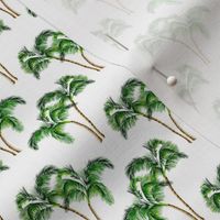 Small Green Palm Trees on White