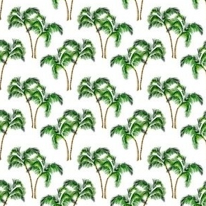 Small Green Palm Trees on White