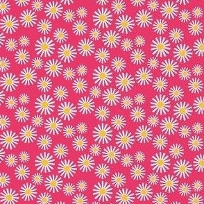 Daisy Delight - Fresh, Modern, Crisp White Daisies Scattered on a Dark Pink Background - Classic Floral Design  - shw1007 d