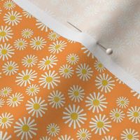 Daisy Delight - Fresh, Modern, Crisp White Daisies Scattered on a Cantaloupe Orange Background - Classic Floral Design  - shw1007 f