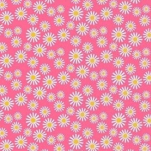 Daisy Delight - Fresh, Modern, Crisp White Daisies Scattered on a Bubblegum Pink Background - Classic Floral Design  - shw1007 g