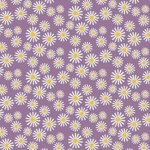 Daisy Delight - Fresh, Modern, Crisp White Daisies Scattered on a Lavender Background - Classic Floral Design  - shw1007 h
