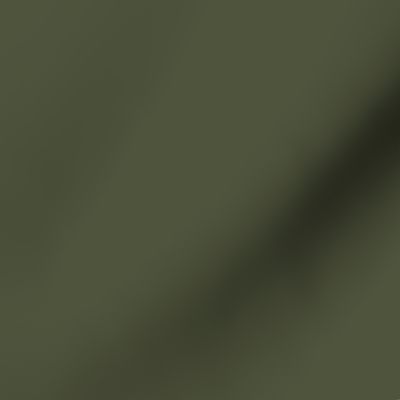 Zelensky Green Military Olive Drab Khaki Green Solid Coordinate