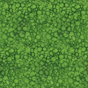 XL_scale_soft_moss_carpet_aggadesign_00233