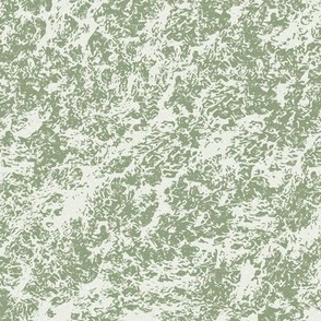 Mossy Texture -