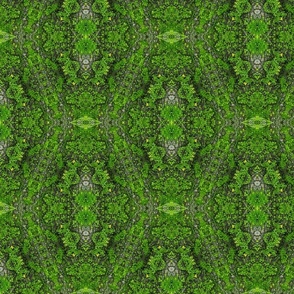 Real life mosses greenery forest floor wallpaper moss23