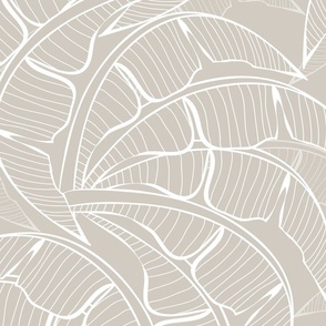 Palm Beach Palms Wallpaper - Agreeable Gray and White 