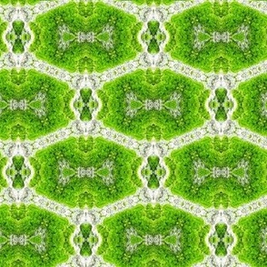 Mosses and rocks ogee geometric pattern Shades of green emerald moss 29