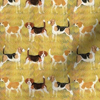 Three Beagle Stripe Small Scale