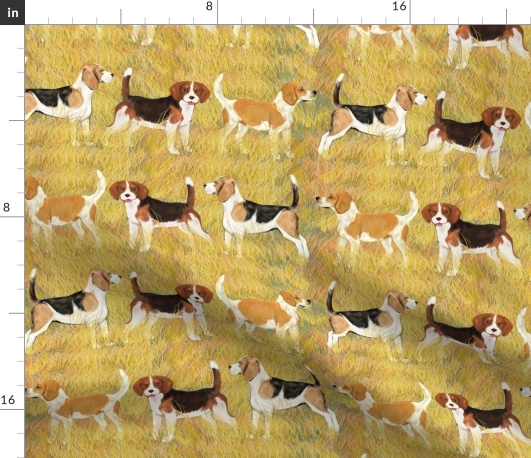 Three Beagle Stripe Medium Scale
