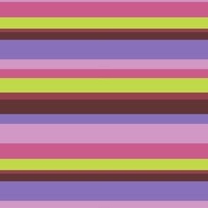 Retro Rainbow Stripe in Maroon + Lime