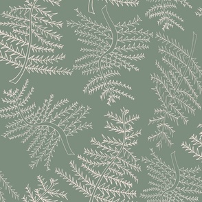 Delicate FEATHER MOSS Line Illustration - 20 inch