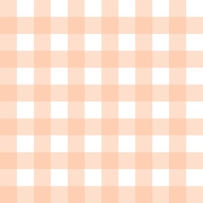 1 1/2 in - Gingham check - peach fuzz on white