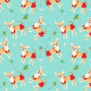 Dog chihuahua vacation turquoise linen