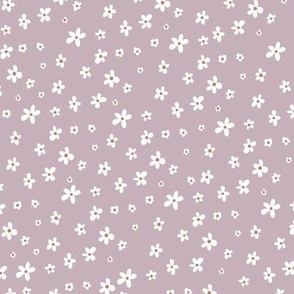 small white flowers on lavender background