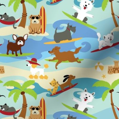 Surfing Cats and Dogs