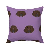 Chocolate Labrador on Purple