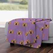 Yellow Labrador on Purple