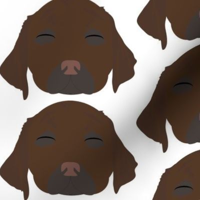 Chocolate Labrador Retriever with Closed Eyes