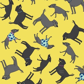 Dogs Having a Party  — Black and Yellow
