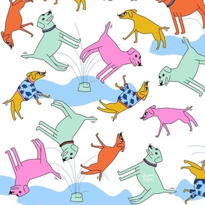 Dogs Having a Party  — Colourful