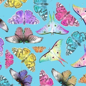 Butterflies - Sky Blue