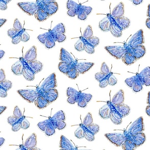 Blue Butterflies - White