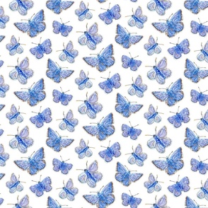 Blue Butterflies - White - 50% Scale