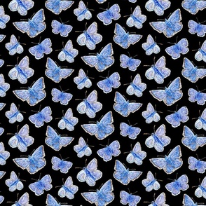 Blue Butterflies - 50% Scale