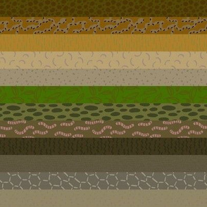 Soil Formation Stripes
