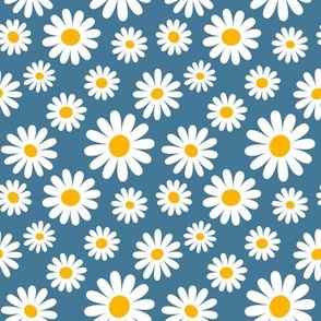 Daisies on blue