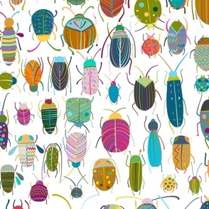 Insects and bugs, colorful collection