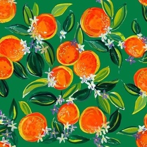 Tangerine Dreams // Kelly Green