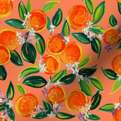 Tangerine Dreams // Persimmon