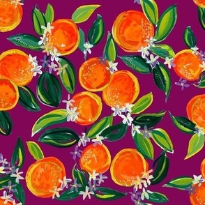 Tangerine Dreams // Mulberry
