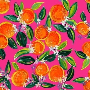 Tangerine Dreams // Hot Pink