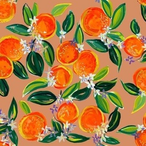 Tangerine Dreams // Terracotta