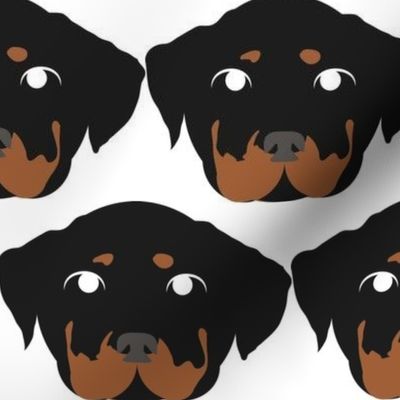 Rottweiler with Bored Facial Expression