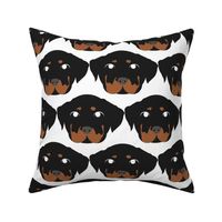 Rottweiler with Bored Facial Expression