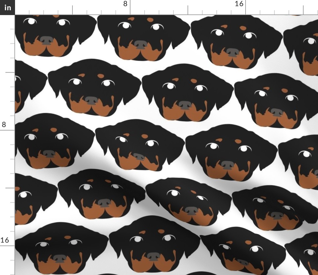 Rottweiler with Bored Facial Expression