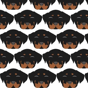 Rottweiler with Closed Eyes