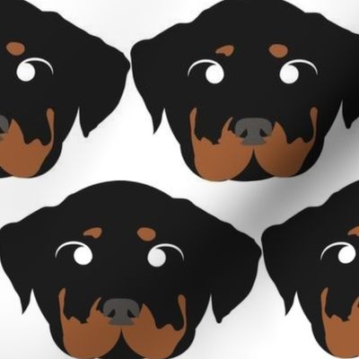 Rottweiler with Crossed Eyes