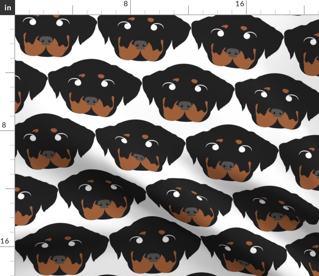 Rottweiler with Crossed Eyes