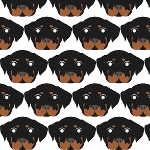 Rottweiler with Surprised Facial Expression