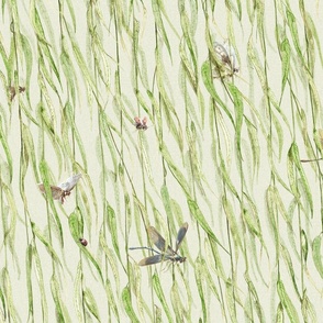 Willow tree branches with dragonflies, butterflies and bees on sage, tranquil wallpaper, soothing home decor, all artistic, woodland nature , entomology, insects, neutral green, sage green, jumbo large scale home decor