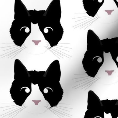Tuxedo Cat with Crossed Eyes
