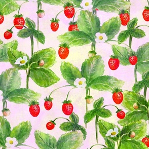 Watercolor strawberry