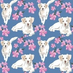 White Little Dog Spaniel  Pink Flowers small print dog fabric puppy